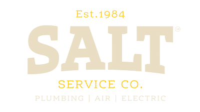SALT logo