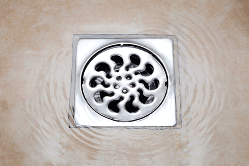 Close-up of a shower or floor drain with standing water around the grate